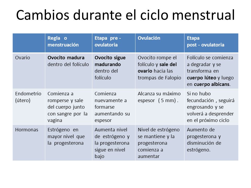 El aumento de la dimensión del miembro por el gel